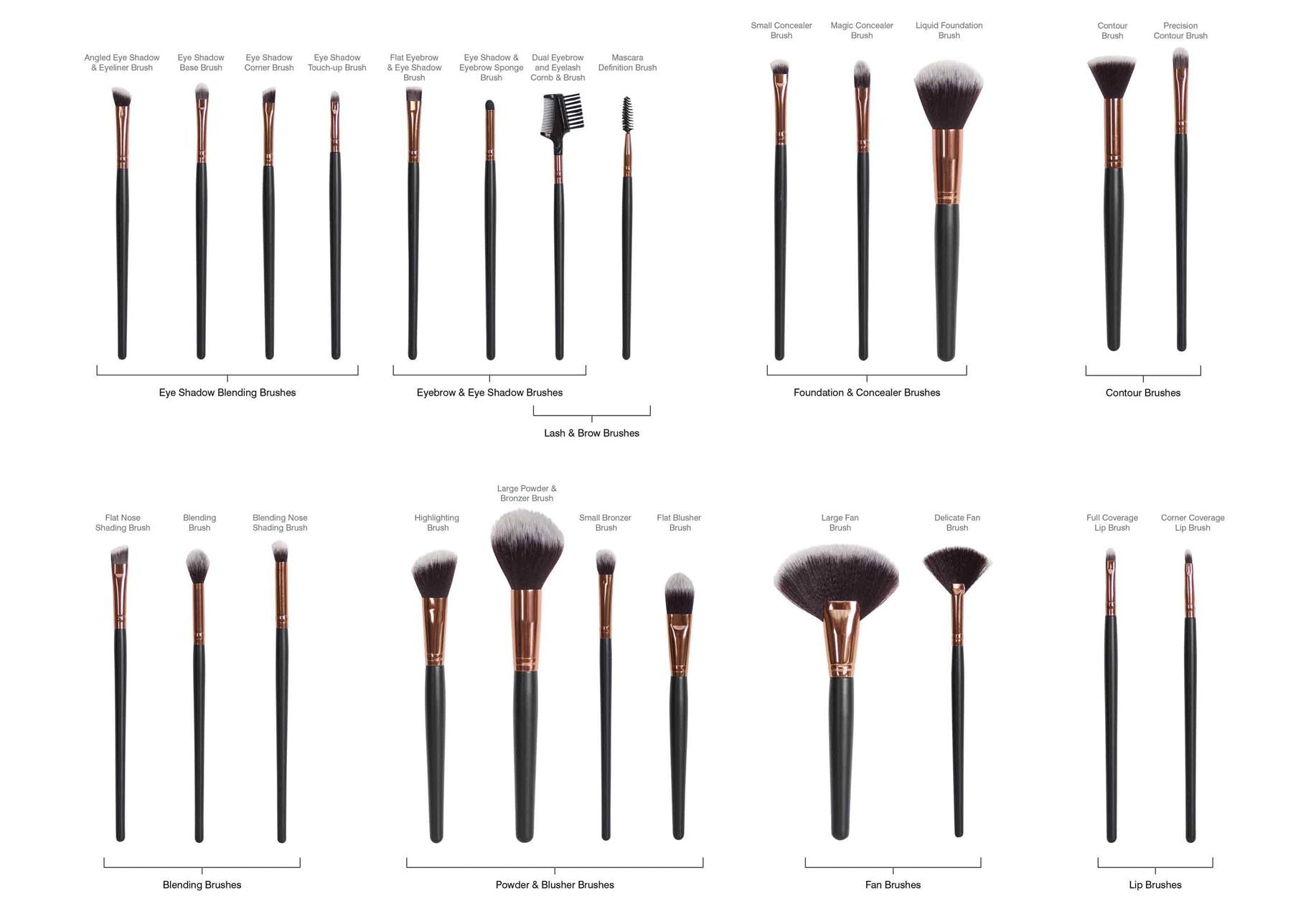 brushes laid out in different categories labelled with individual brush names