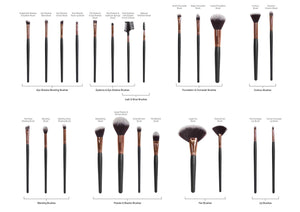 brushes laid out in different categories labelled with individual brush names