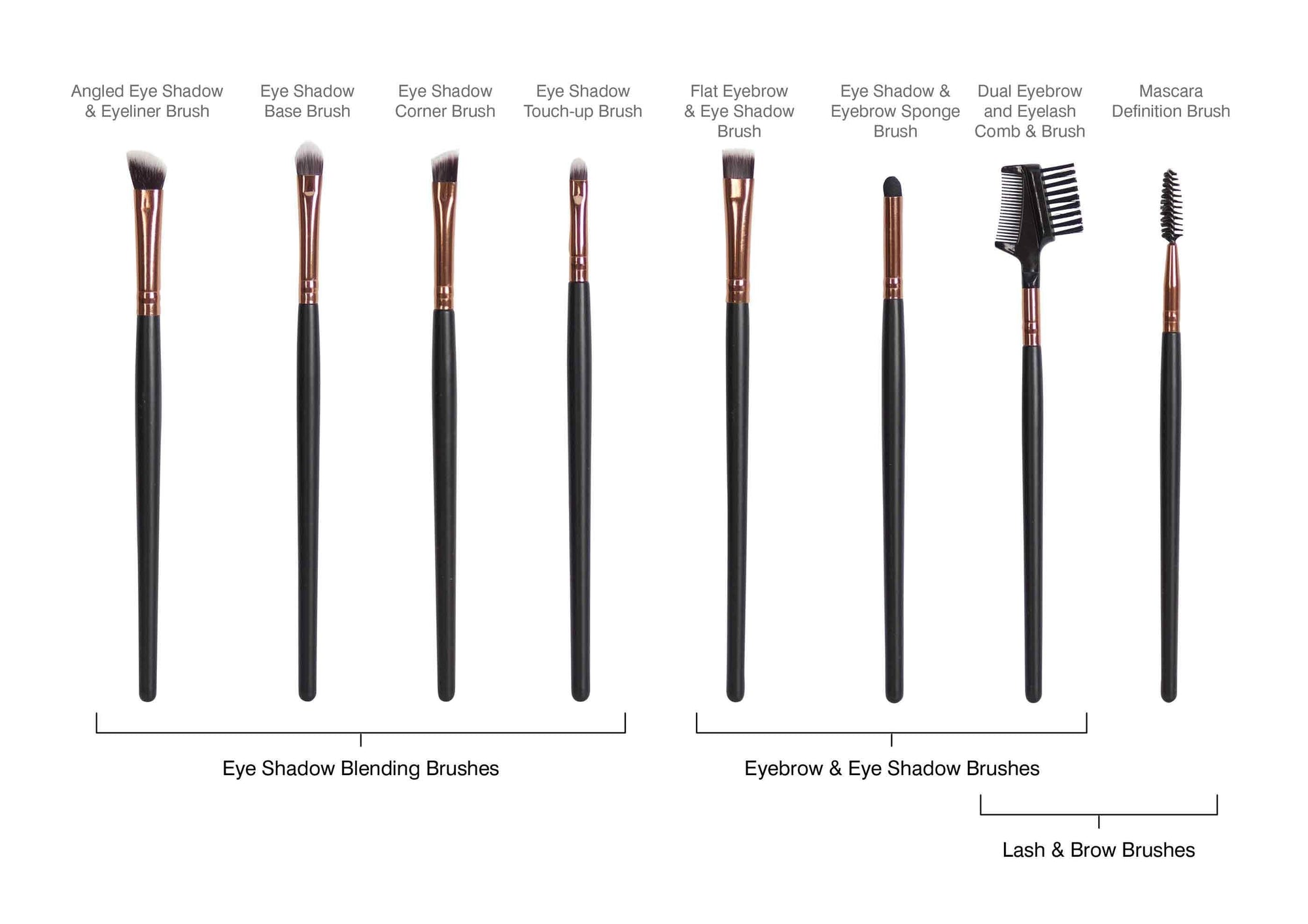 4 eyeshadow blending brushes 2 eyebrow and eyeshadow brushes and 2 lash and brow tools all individually labelled 
